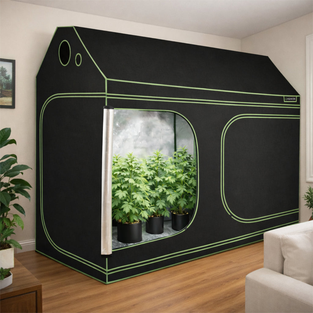 Zuchtzelt, 240 x 120 x 180 cm, schwarz/grün, Pflanzenzucht Indoor