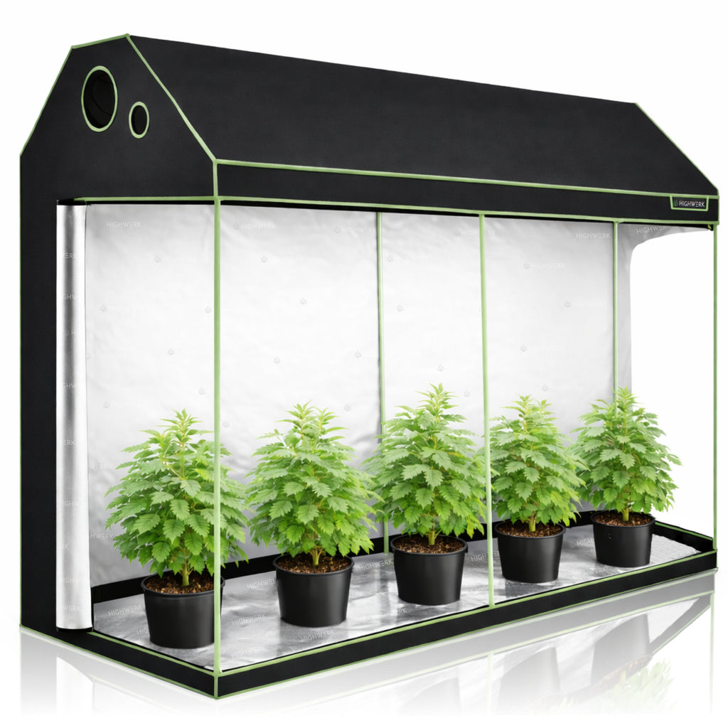 Tente de culture, 240 x 120 x 180 cm, noir/vert, pour la culture de plantes d'intérieur