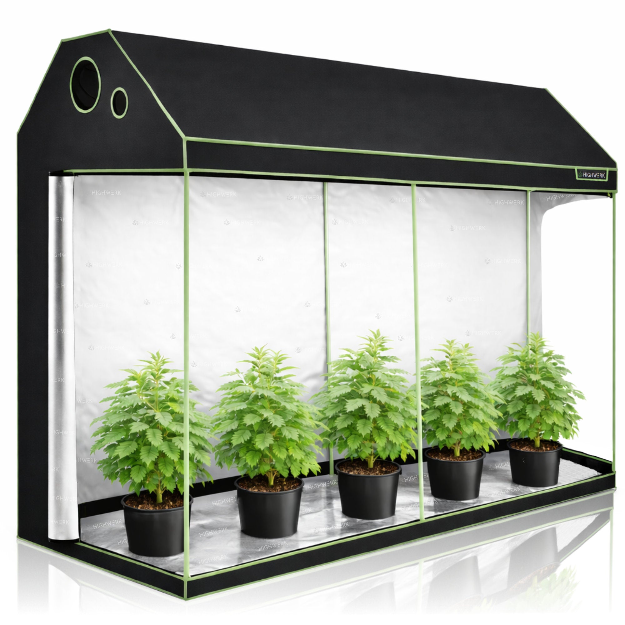 Tente de culture, 240 x 120 x 180 cm, noir/vert, pour la culture de plantes d'intérieur