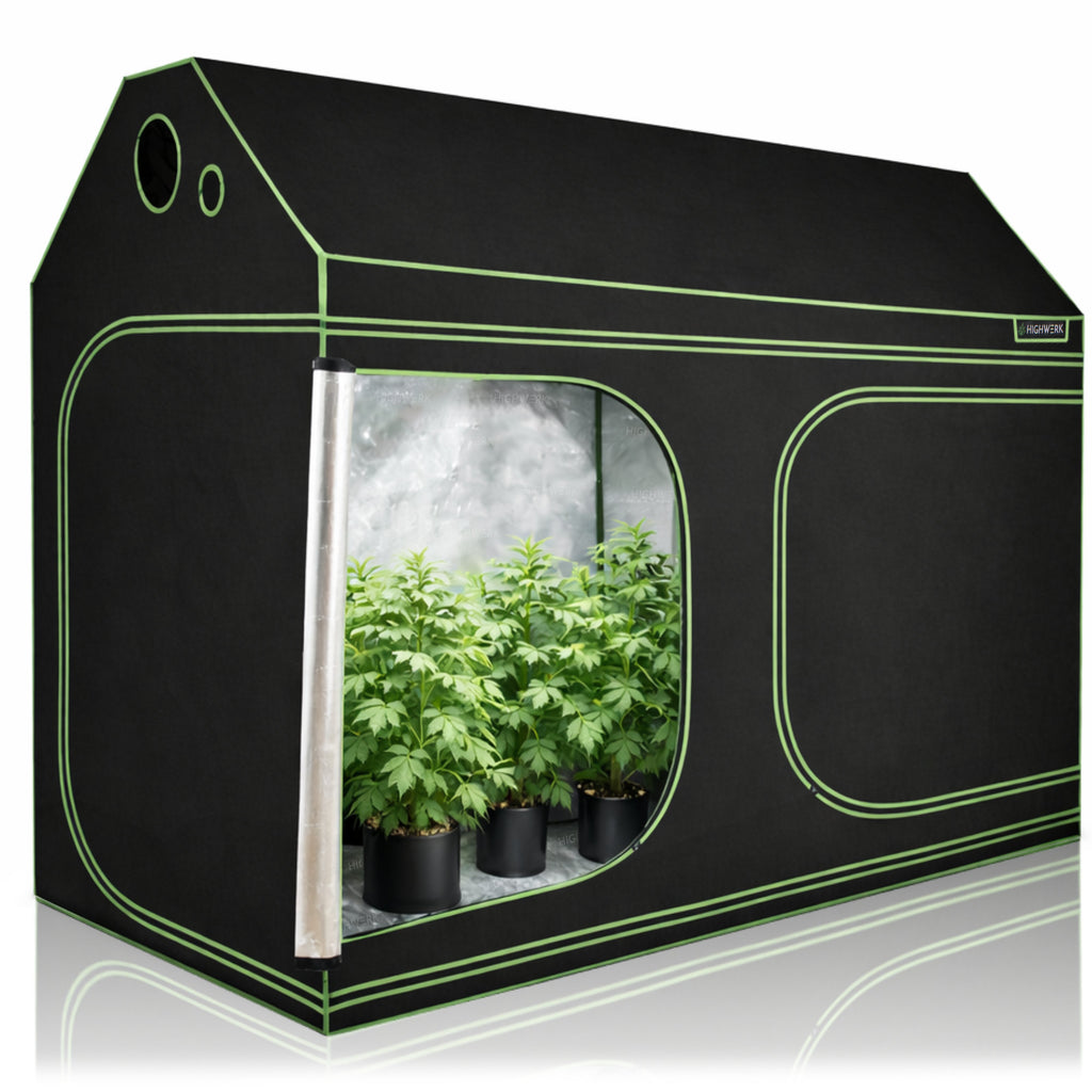 Tente de culture, 240 x 120 x 180 cm, noir/vert, pour la culture de plantes d'intérieur