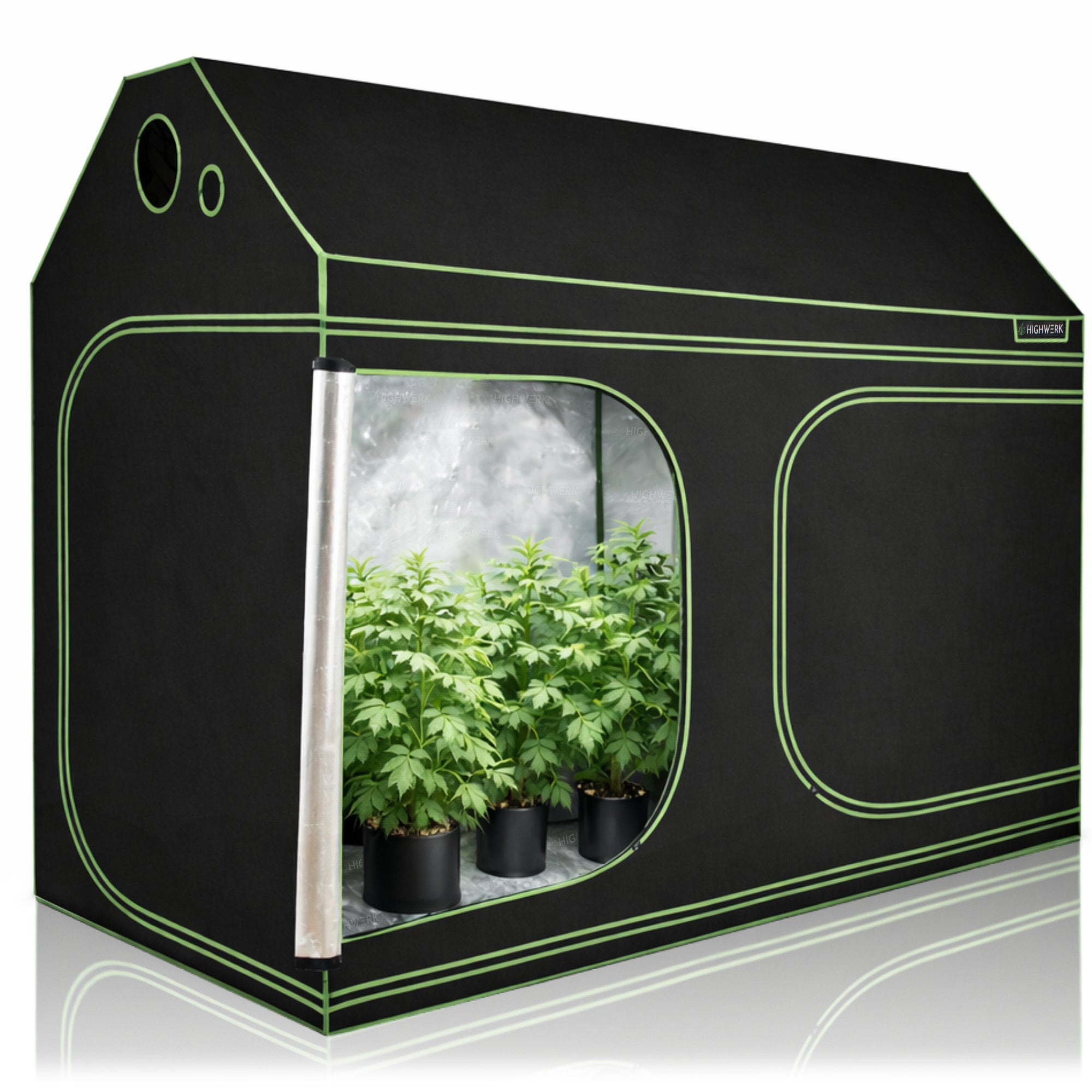 Tente de culture, 240 x 120 x 180 cm, noir/vert, pour la culture de plantes d'intérieur