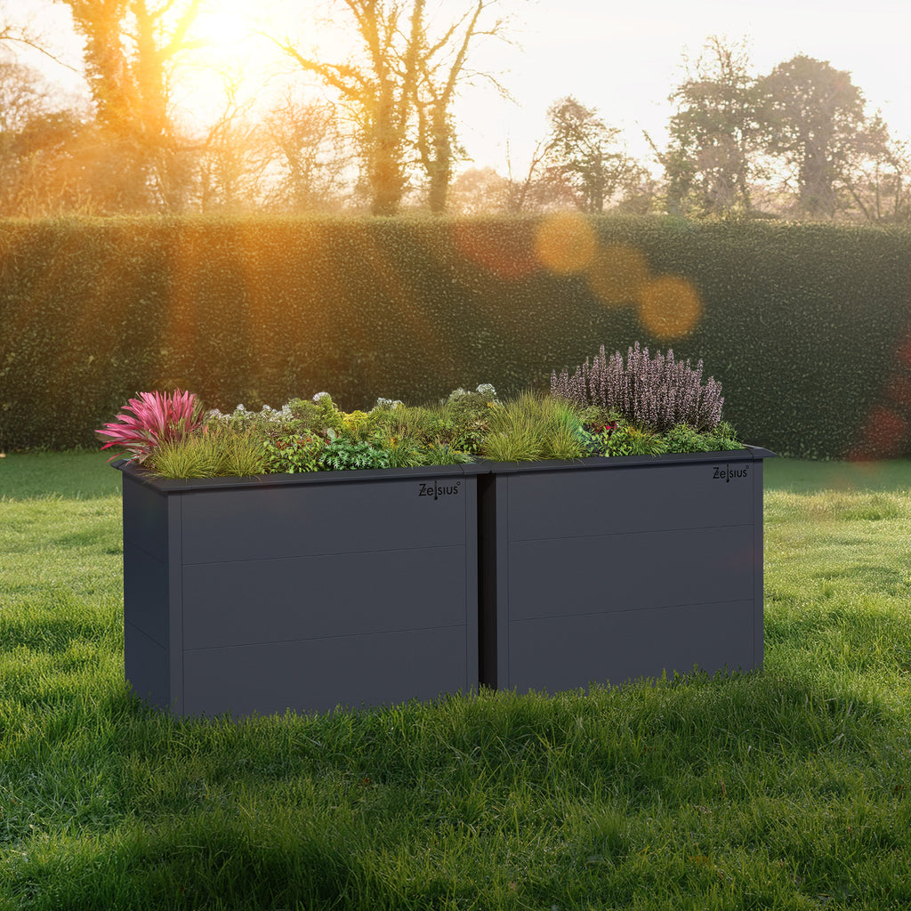 Carré potager, 100 x 50 x 77 cm, Gris anthracite RAL 7016