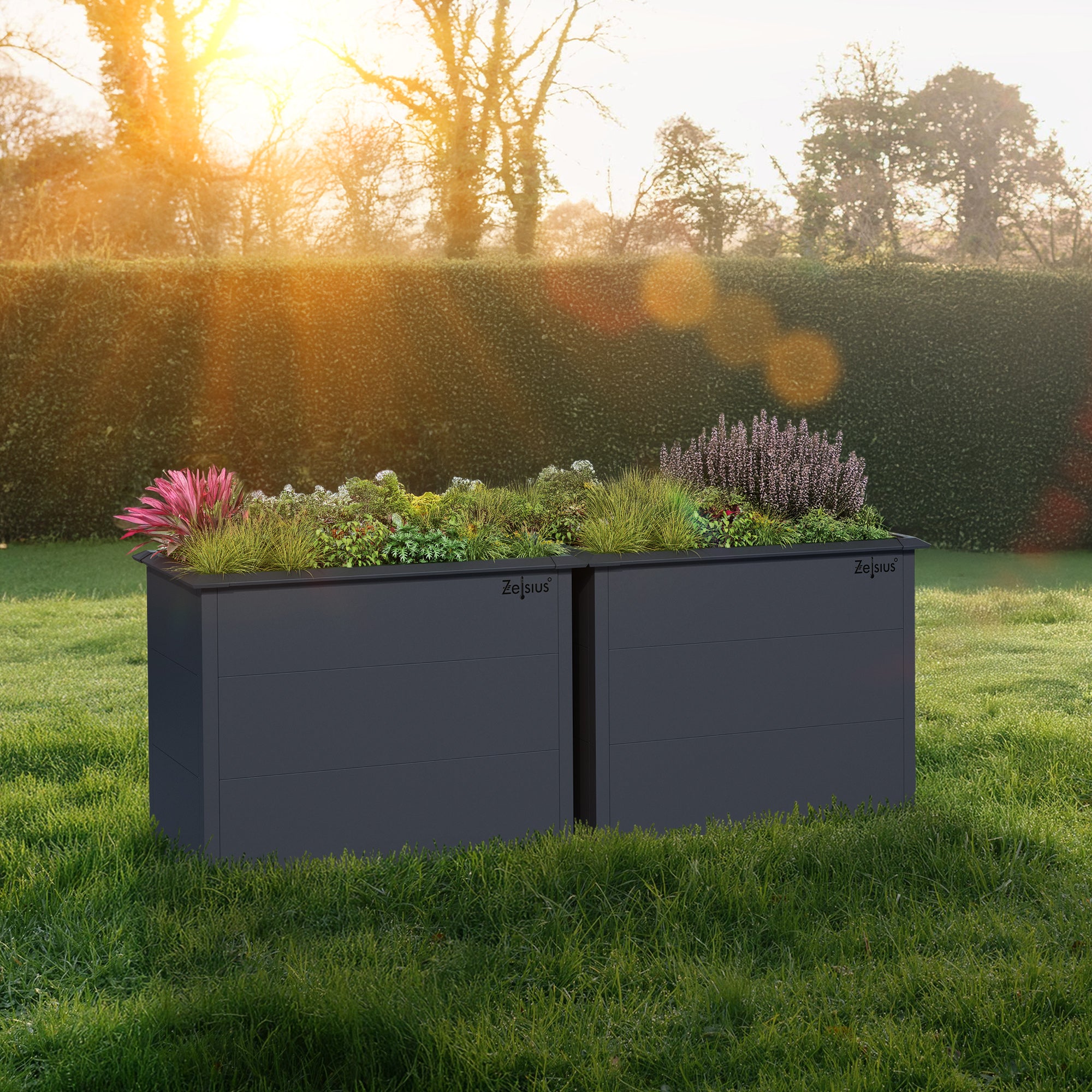 Carré potager, 100 x 50 x 77 cm, Gris anthracite RAL 7016