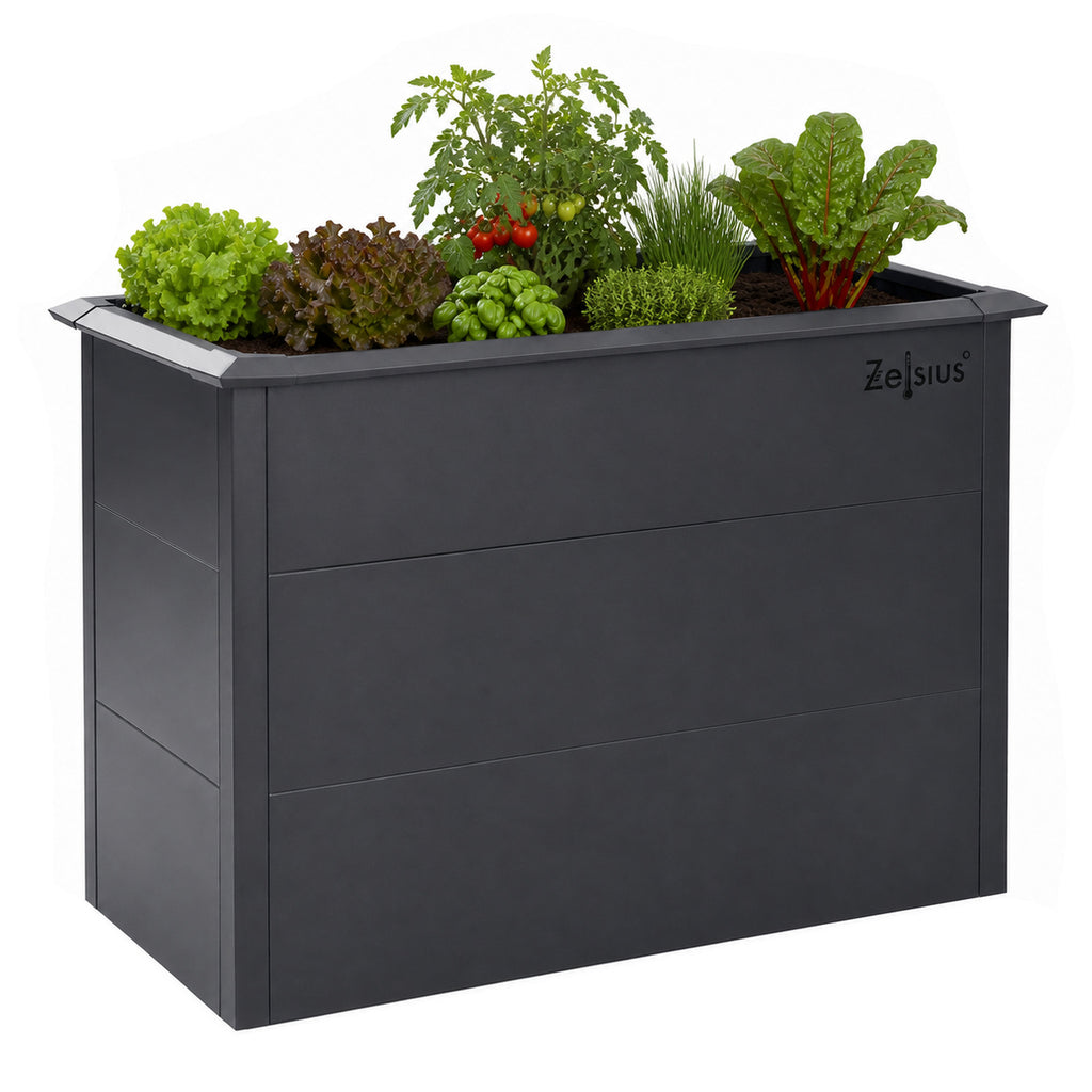 Carré potager, 100 x 50 x 77 cm, Gris anthracite RAL 7016