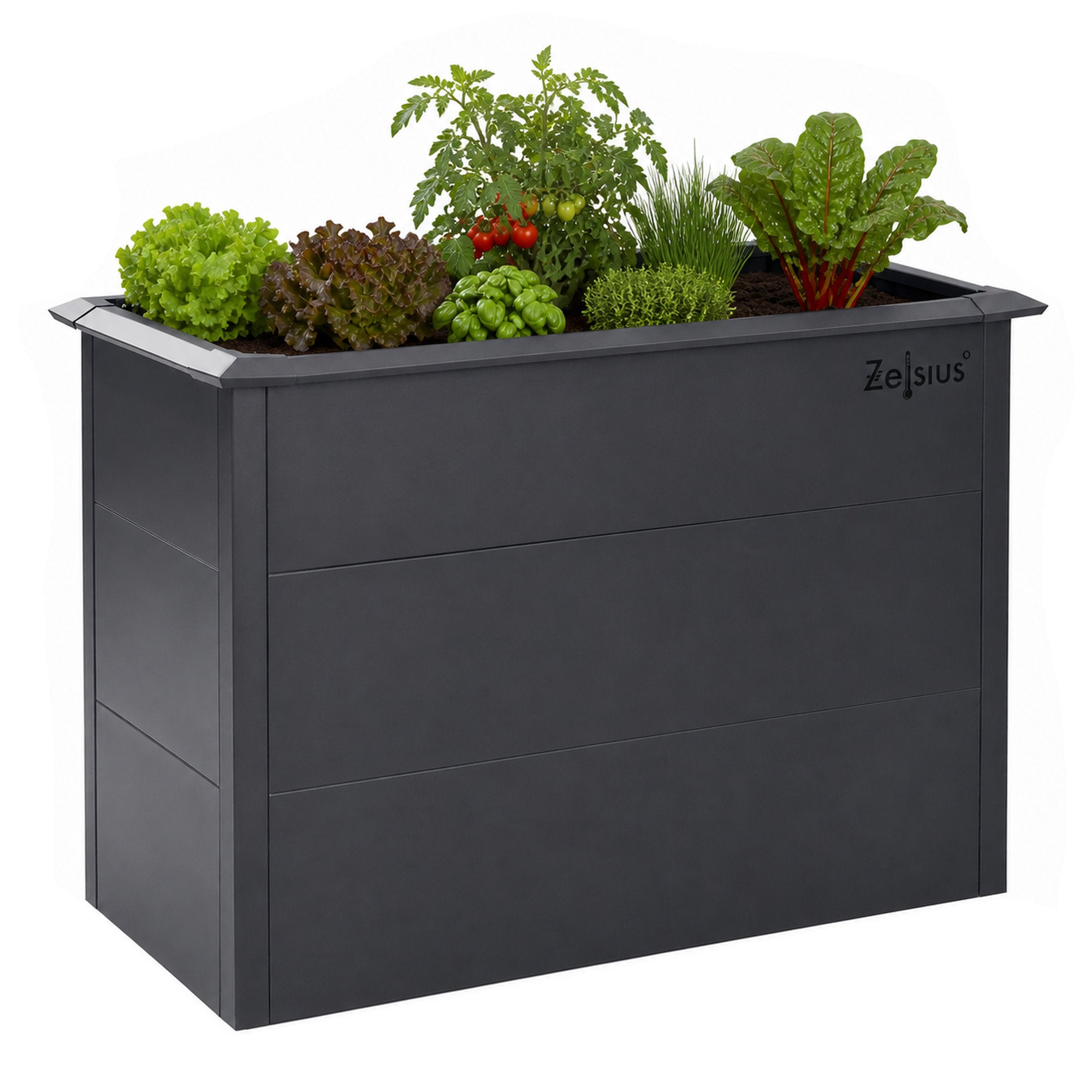 Carré potager, 100 x 50 x 77 cm, Gris anthracite RAL 7016