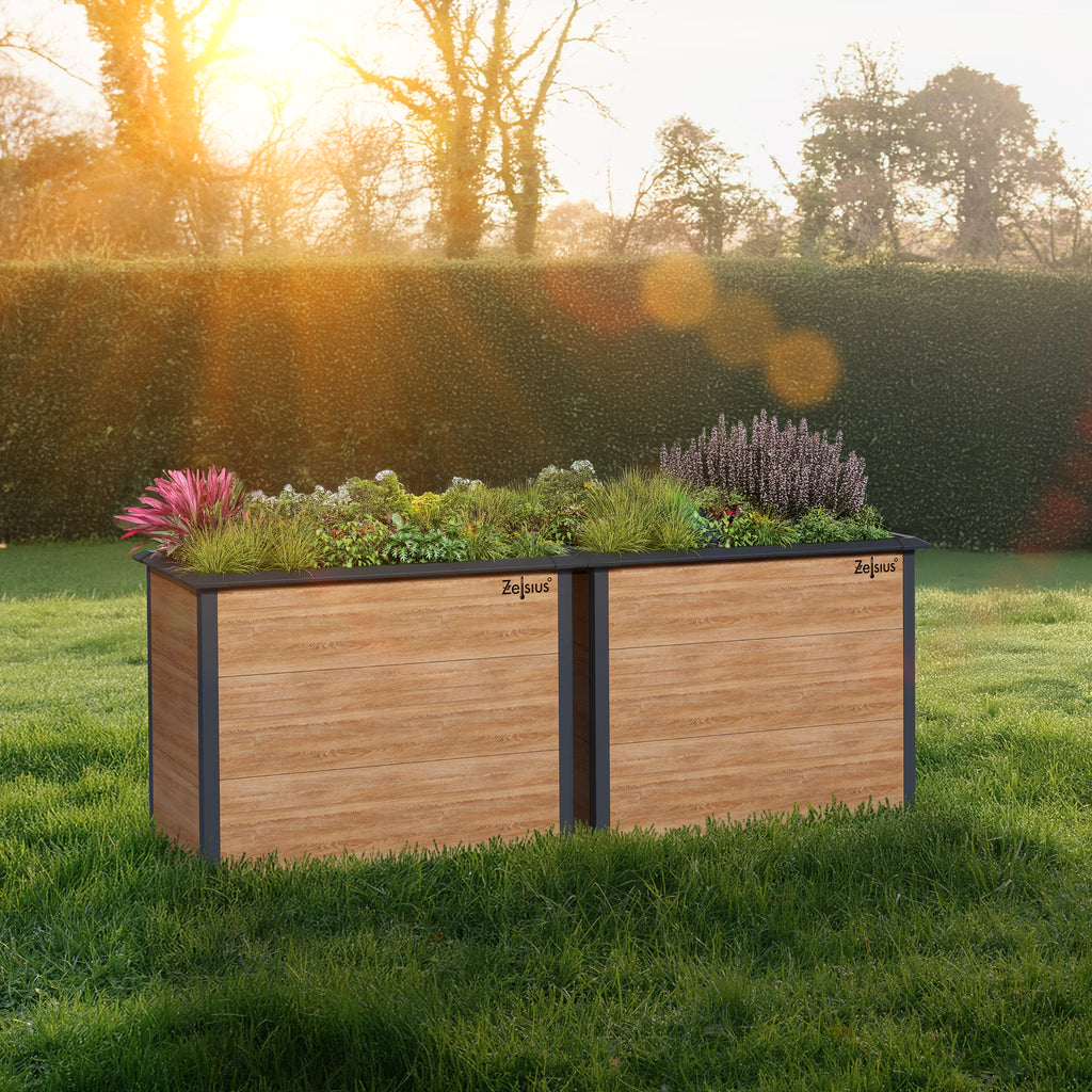 Carré potager, 100 x 50 x 77 cm, Gris anthracite RAL 7016