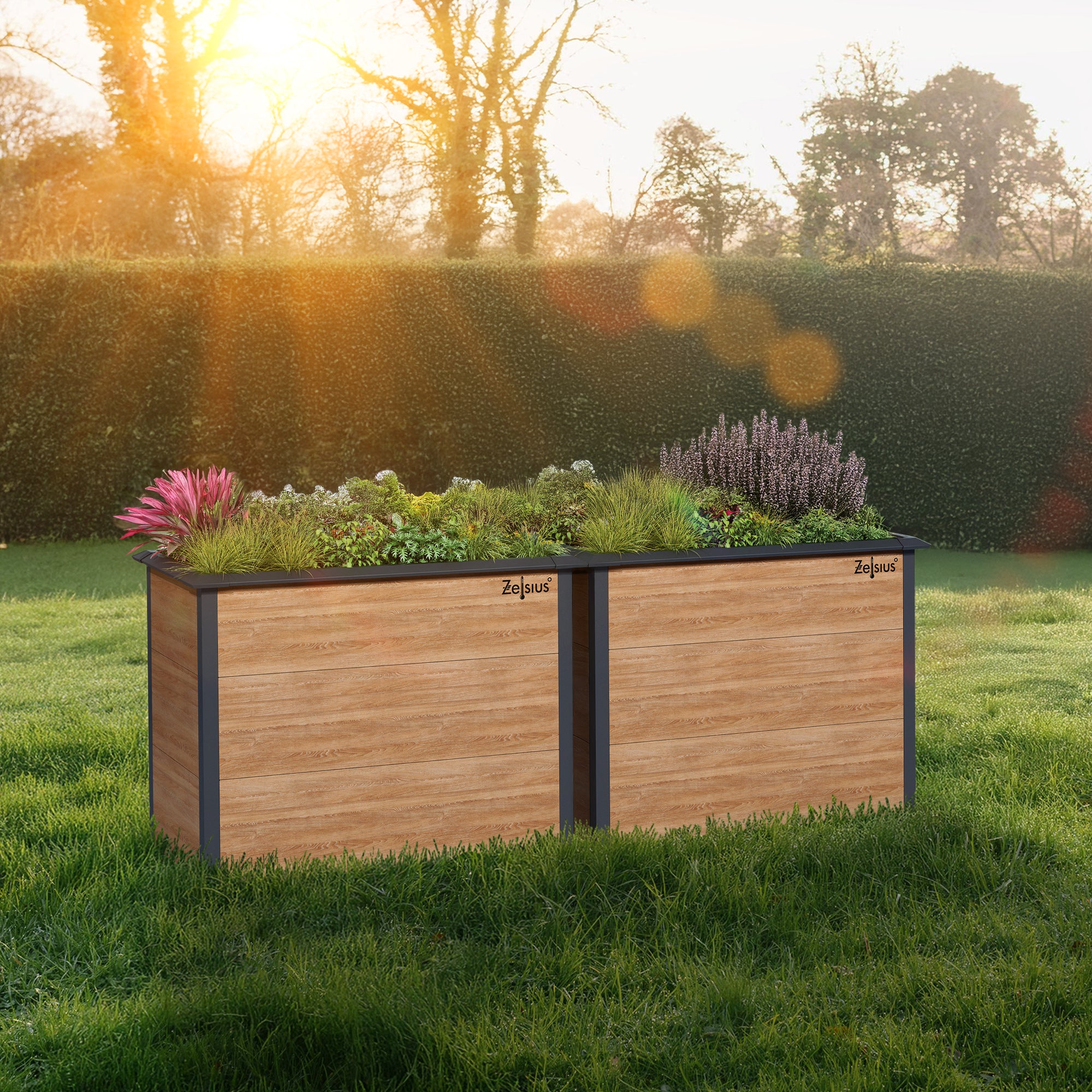 Carré potager, 100 x 50 x 77 cm, Gris anthracite RAL 7016