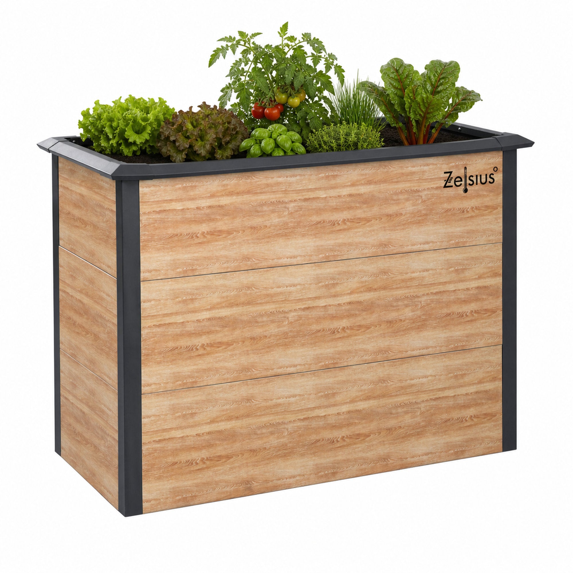 Carré potager, 100 x 50 x 77 cm, Gris anthracite RAL 7016