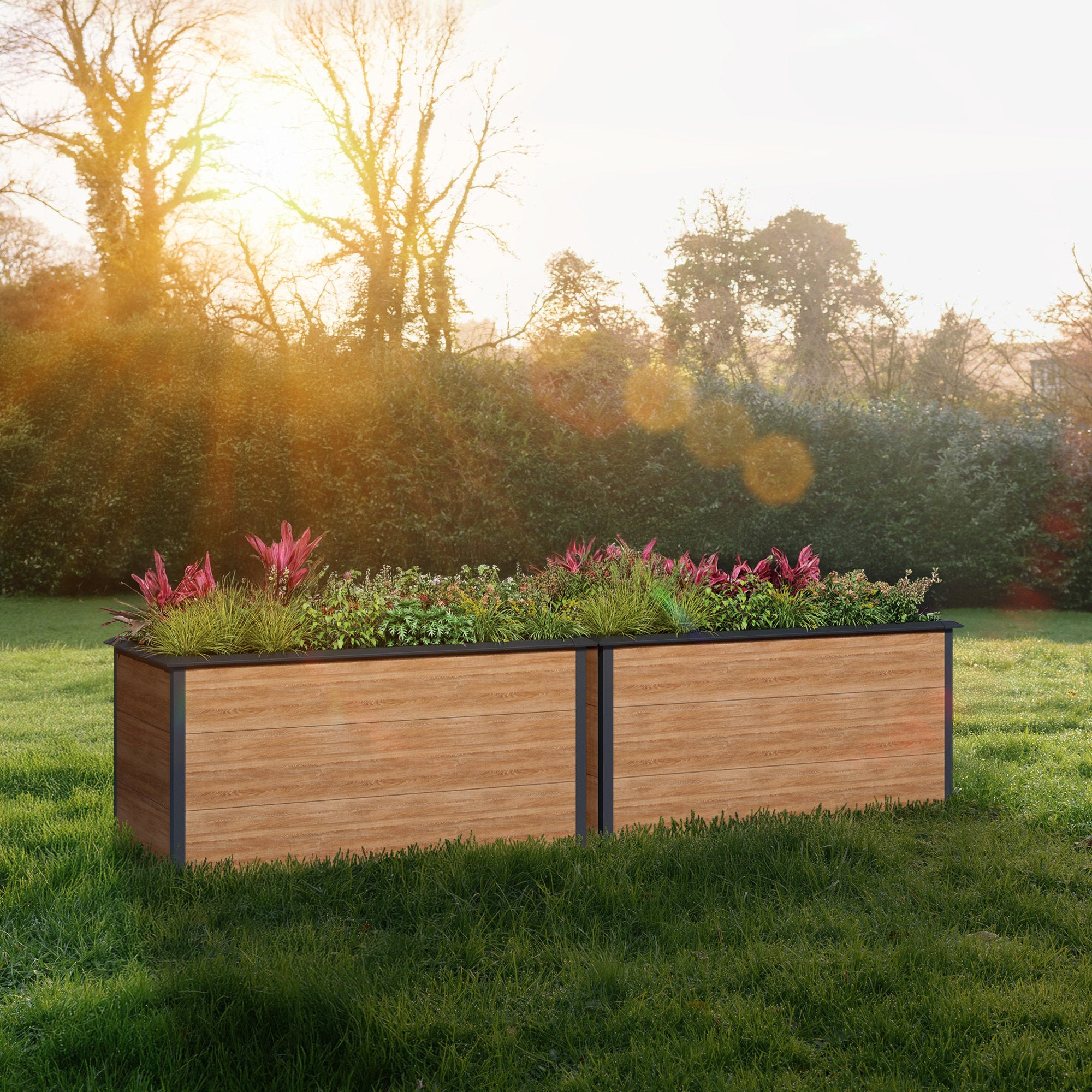 Potager surélevé, 150 x 75 x 77 cm