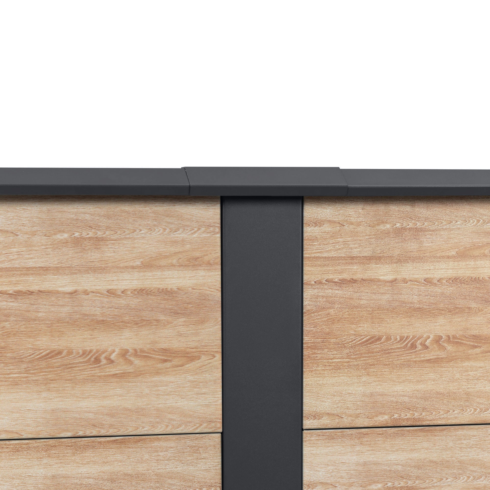 Potager surélevé, 200 x 100 x 77 cm