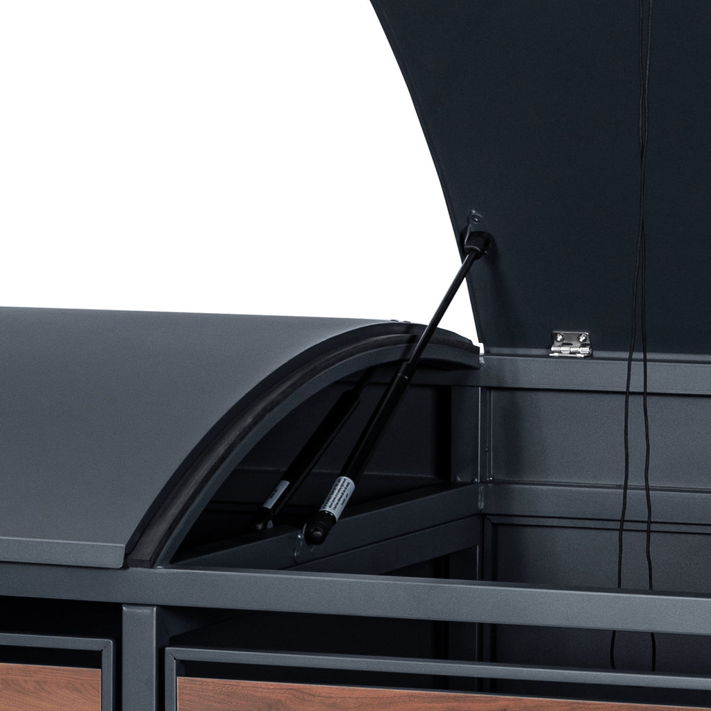 Bin storage unit, set of 2, anthracite RAL 7016, door with wood look, including rounded lid