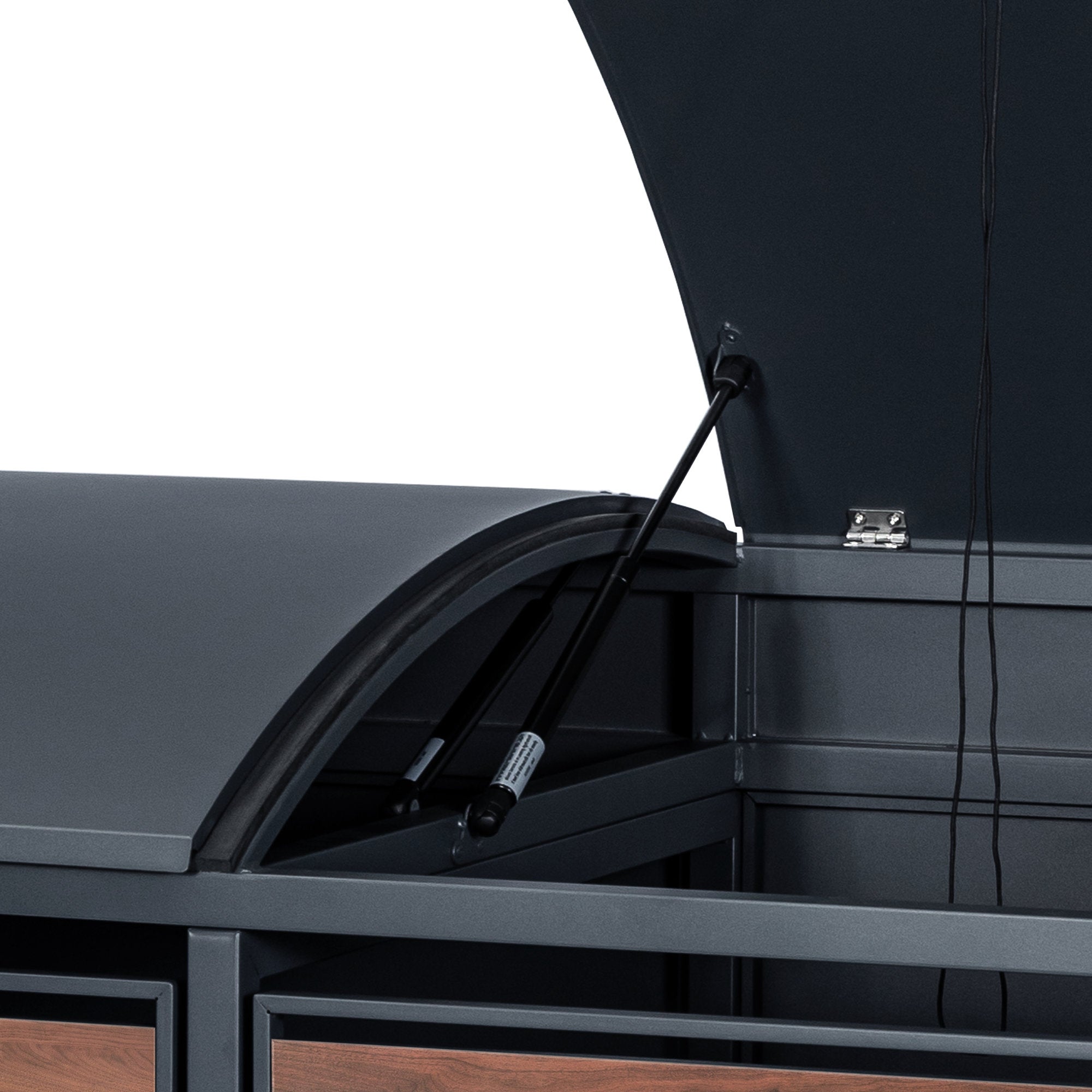 Bin storage unit, set of 2, anthracite RAL 7016, door with wood look, including rounded lid