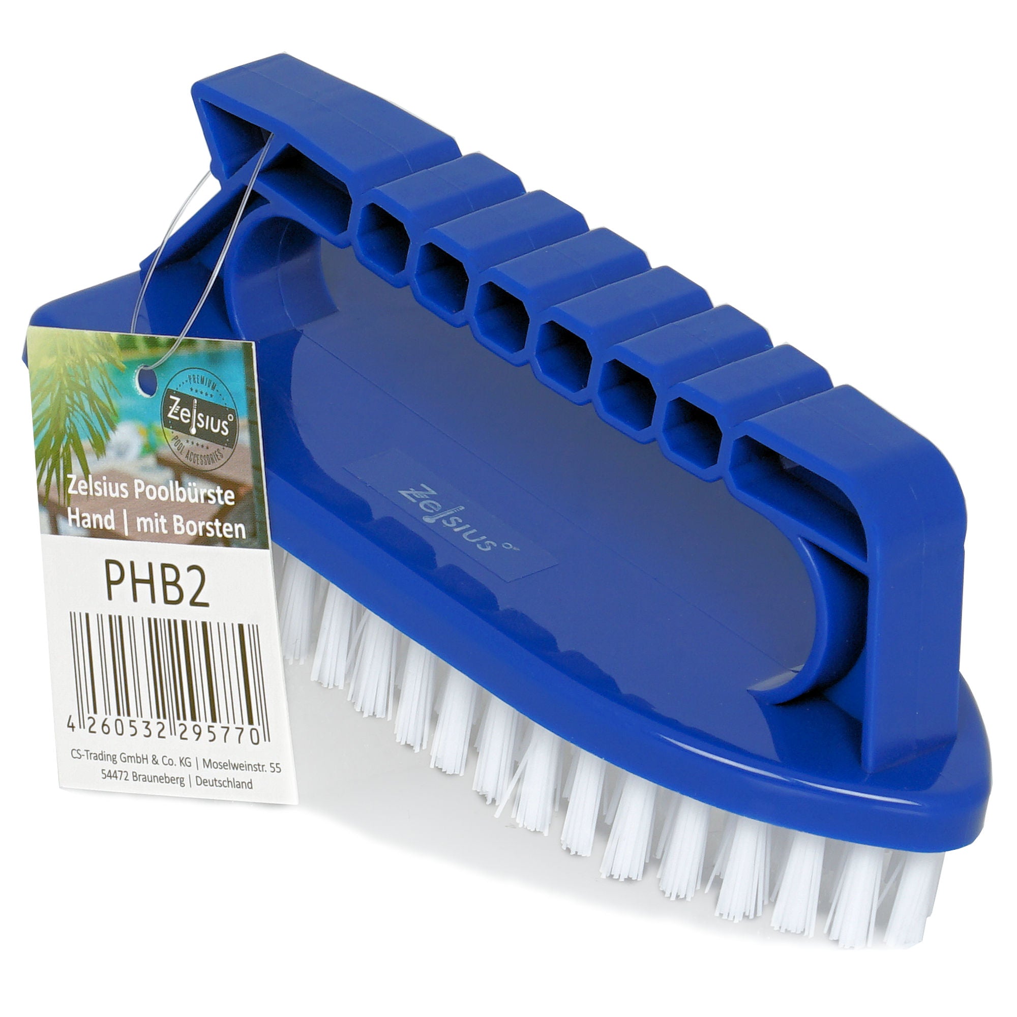ensemble éponge et brosse de piscine