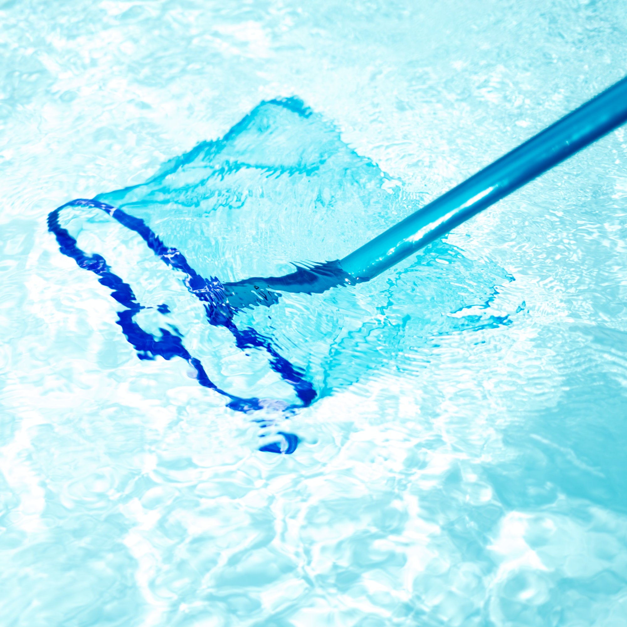 Épuisette de piscine, maille fine, avec insert en filet