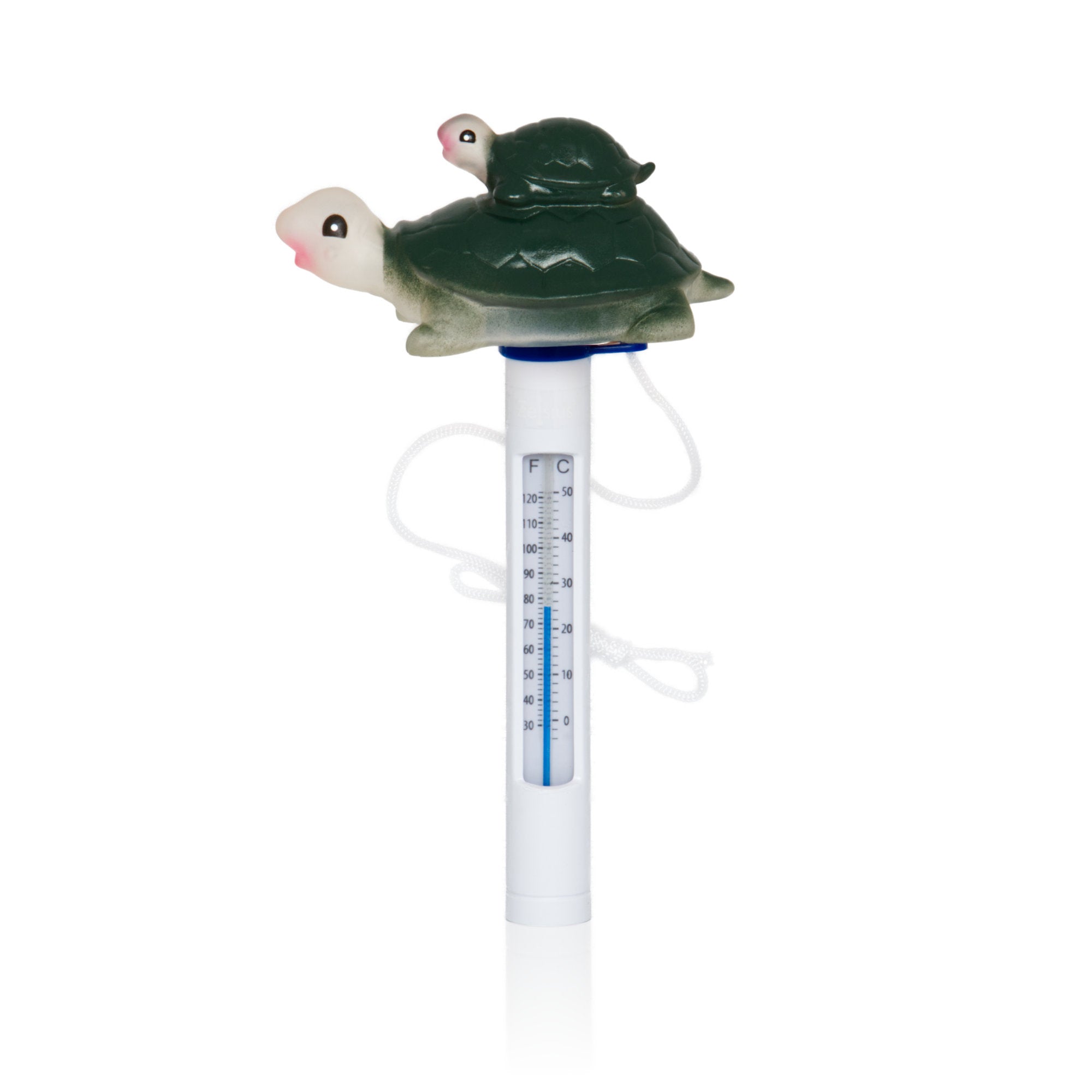thermomètre de piscine, flottant, tortue