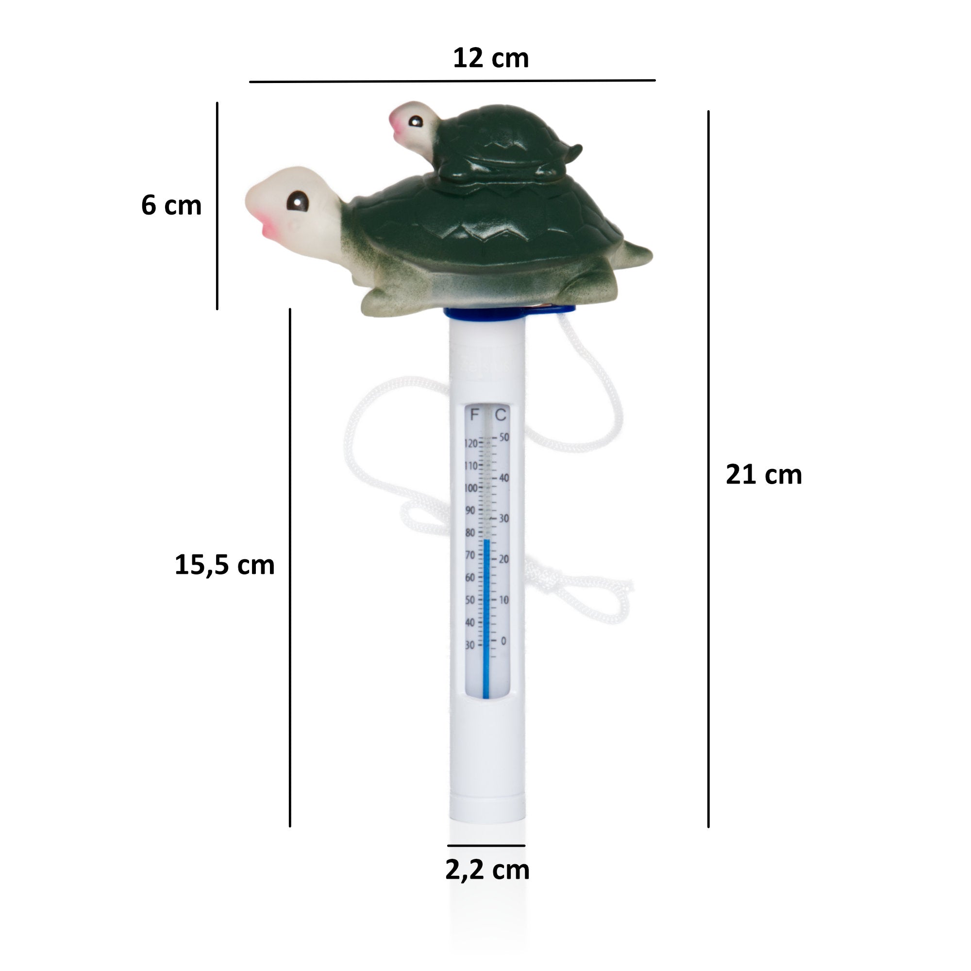 thermomètre de piscine, flottant, tortue