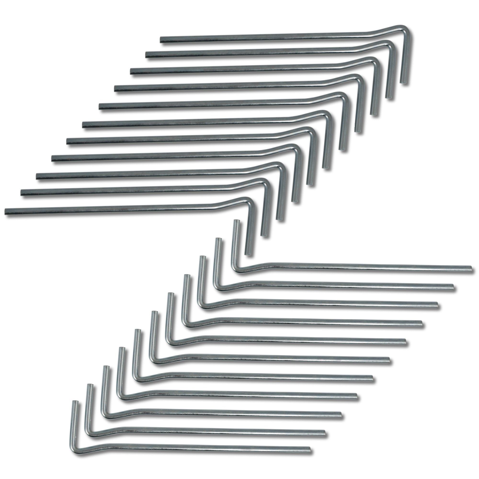 Carp fishing tent "Flash", 2-man tent