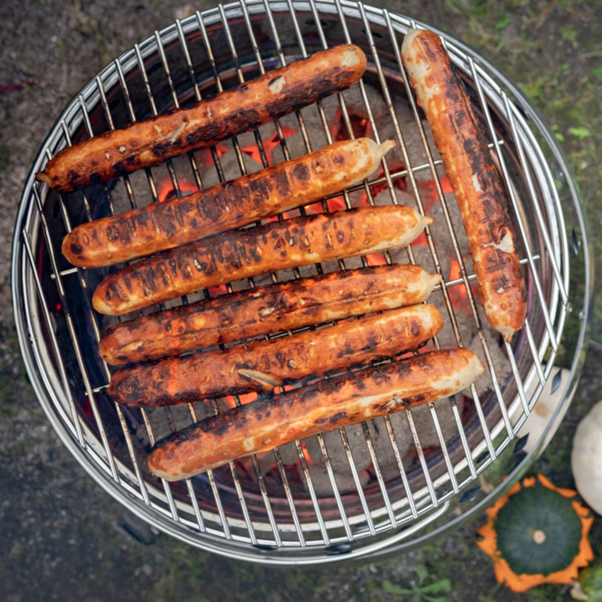 Grille en acier inoxydable « DOKING » pour cocottes en fonte