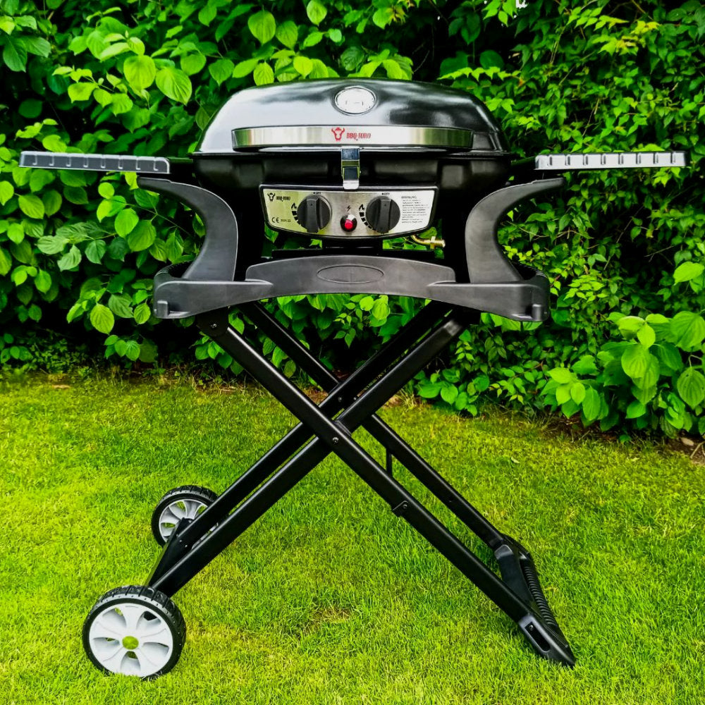 Tabletop gas grill, 2 burners, portable, incl. grill table