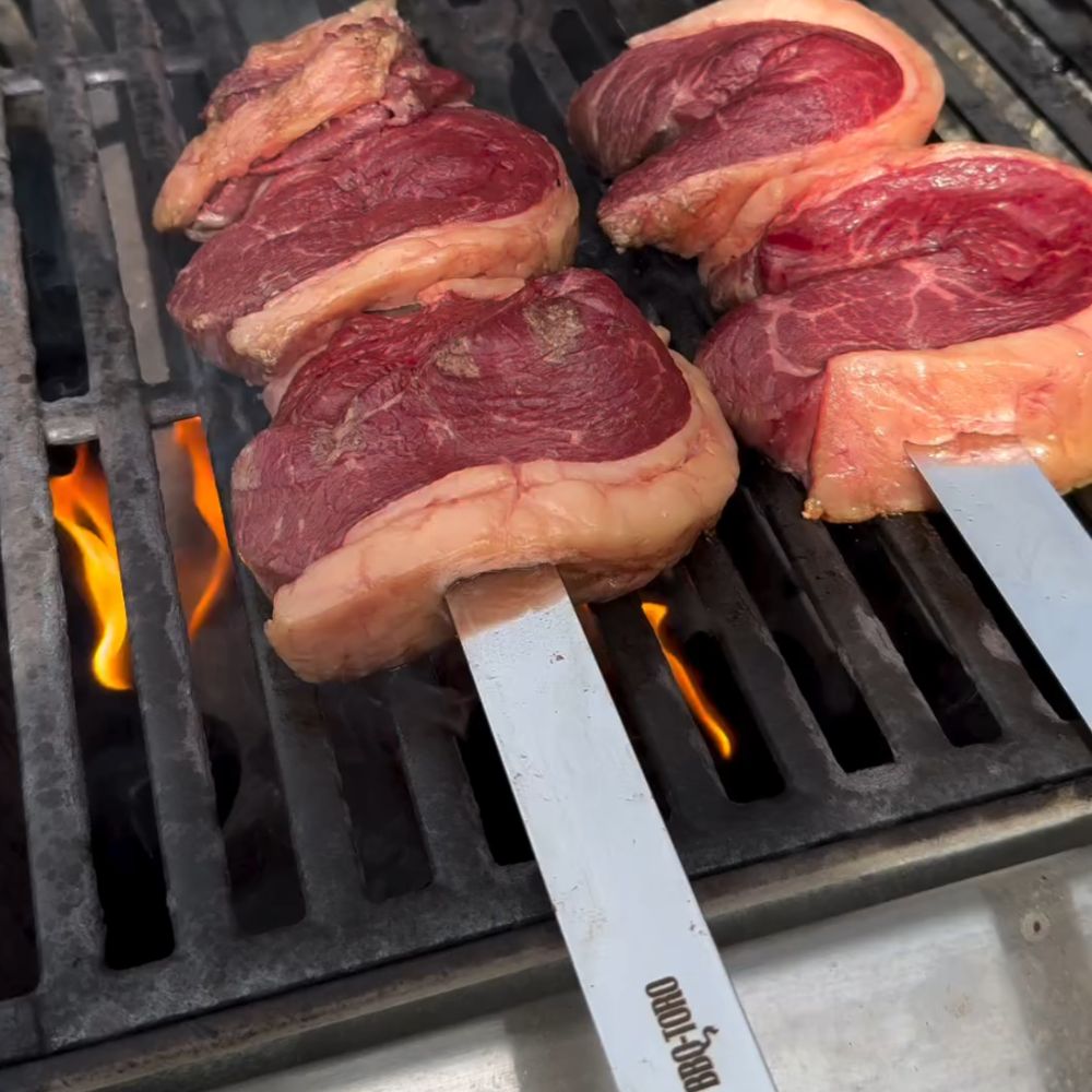 Brochettes pour barbecue, lot de 10, en acier inoxydable, avec manche en bois