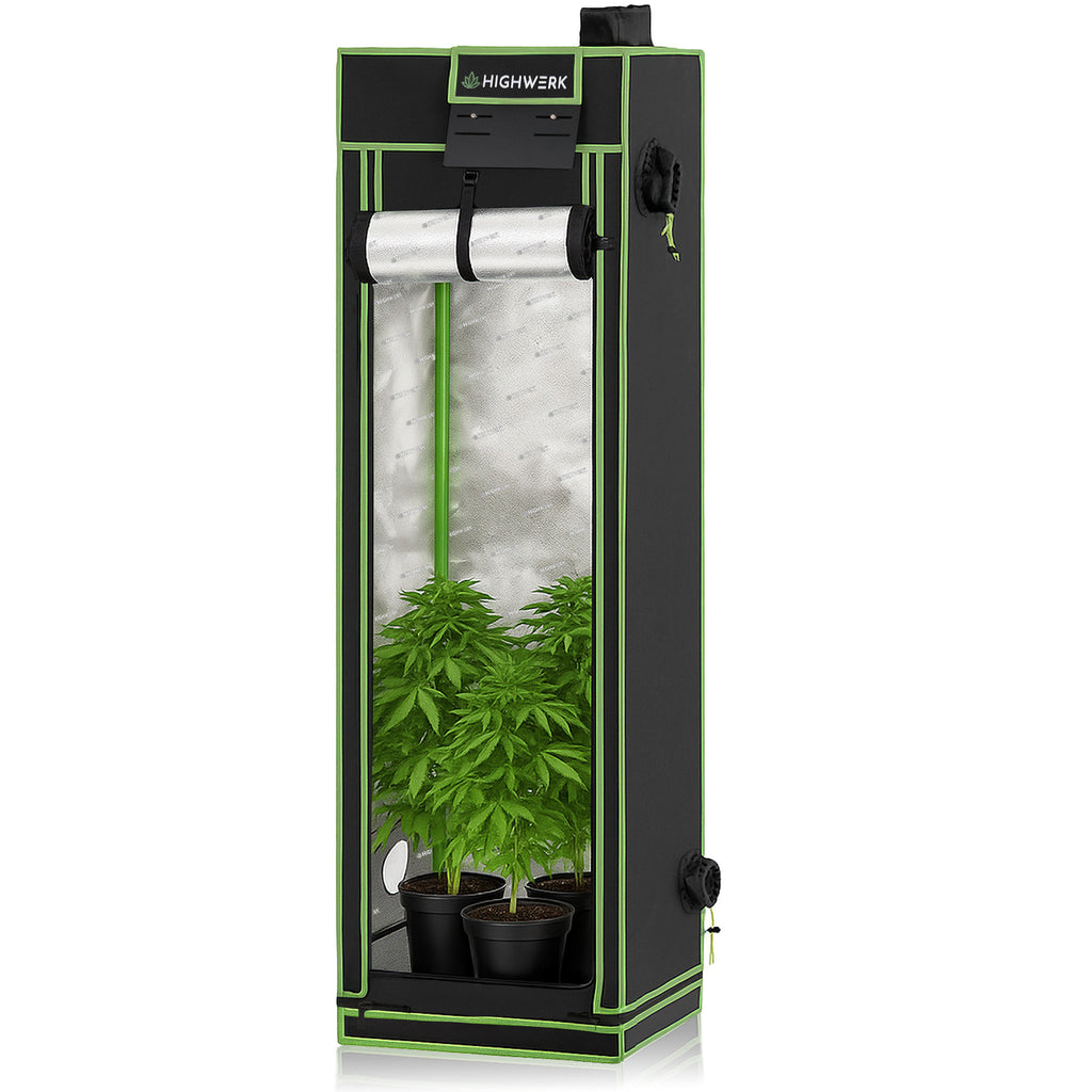 Grow tent, black/green, indoor plant cultivation