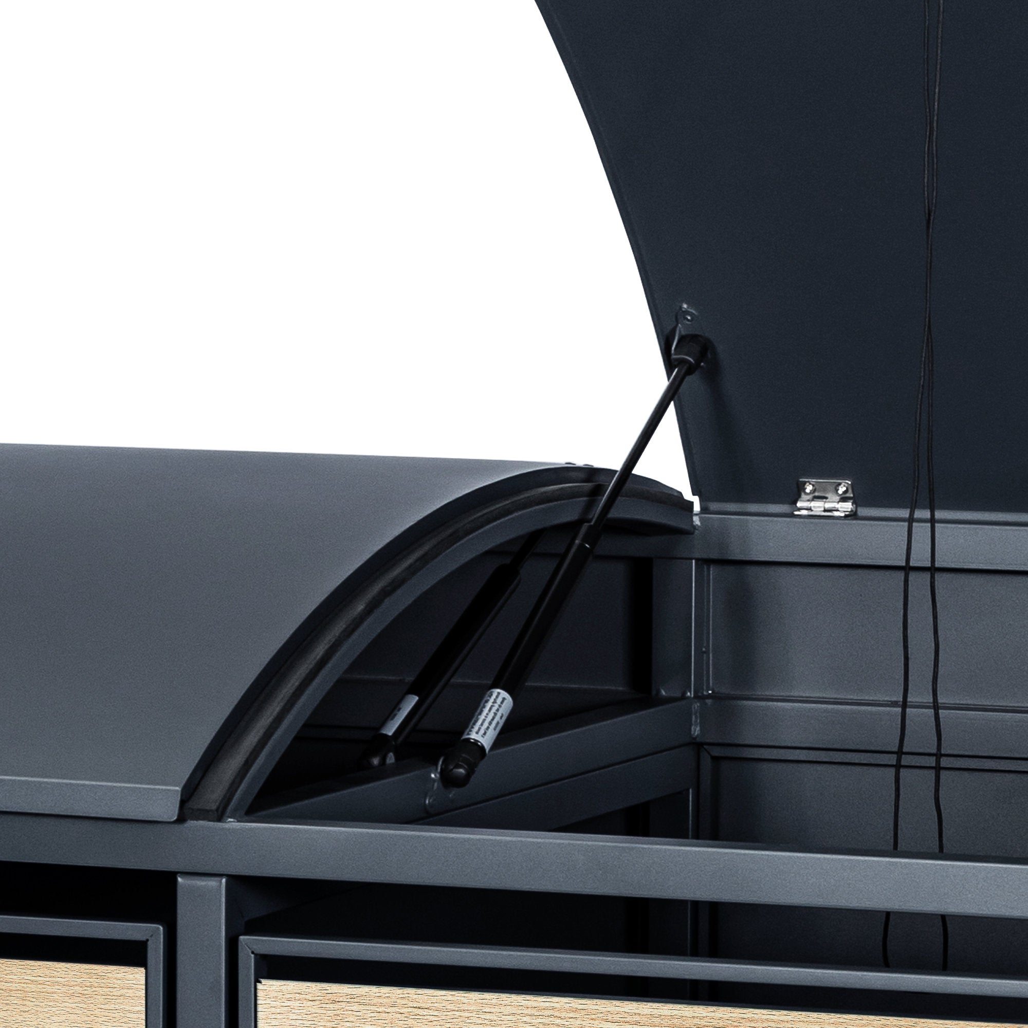 Bin storage unit, set of 2, anthracite RAL 7016, door with wood look, including rounded lid