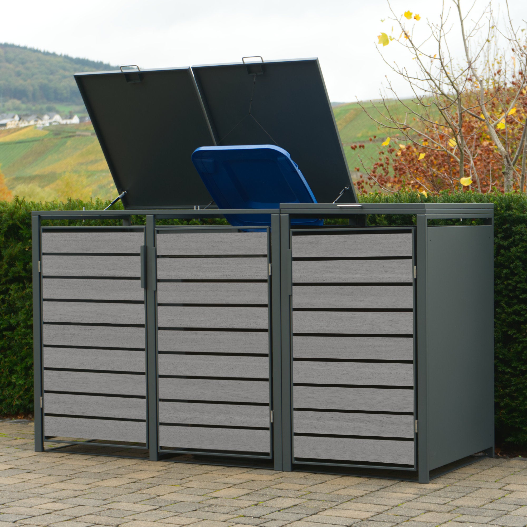 Ensemble de 4 poubelles, anthracite RAL 7016, porte aspect bois
