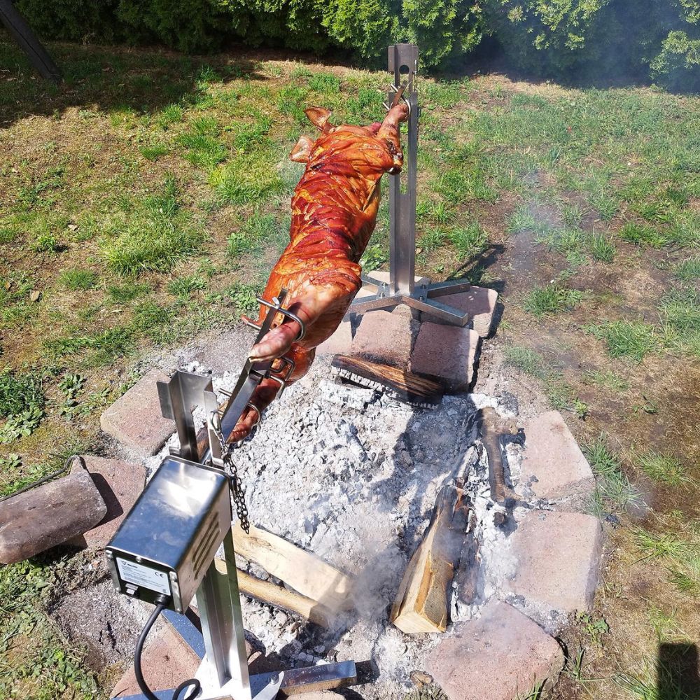 Suckling pig grill including motor, height adjustable