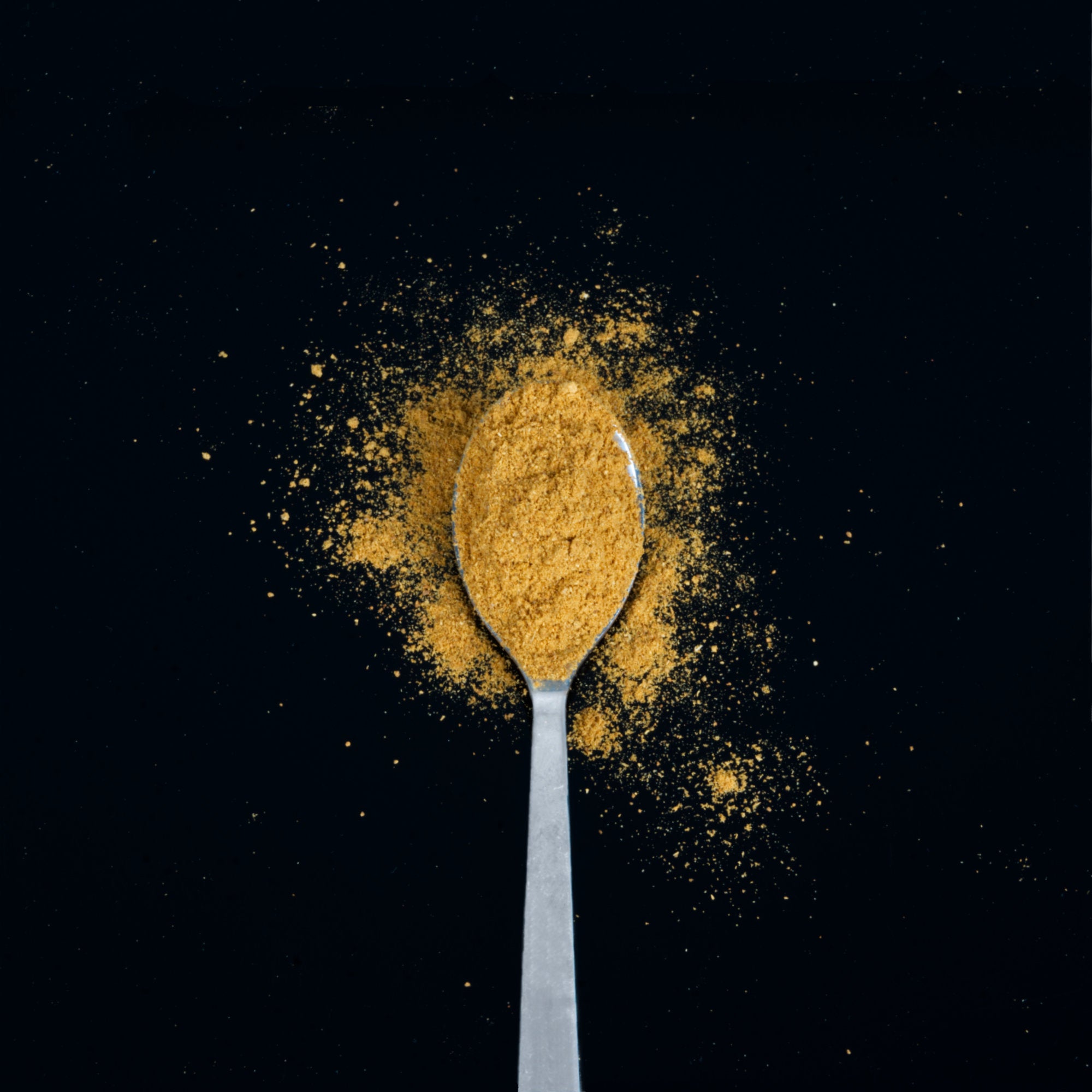 Curry Master spice blend, 90g, for currywurst and curry sauce