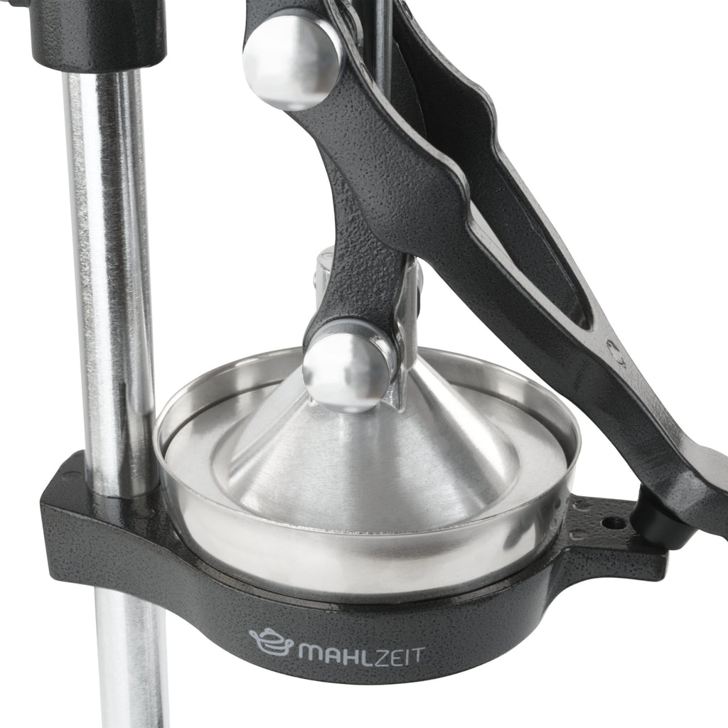 Juicer "ALMERIA", stainless steel, gray