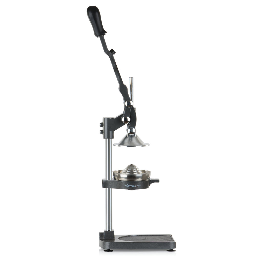 Juicer "ALMERIA", stainless steel, gray