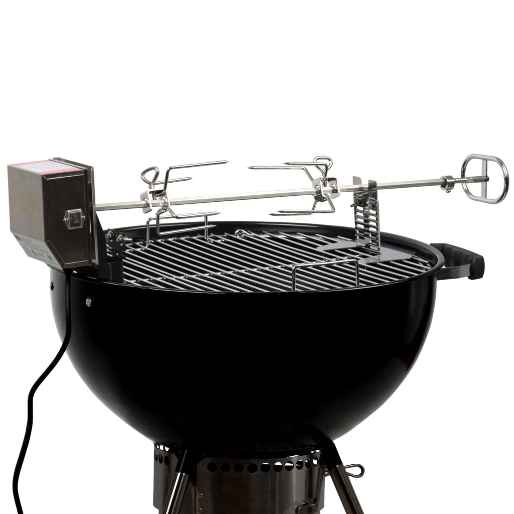 Ensemble de brochettes pour barbecue, 79 cm, en acier inoxydable, comprenant des pinces à viande